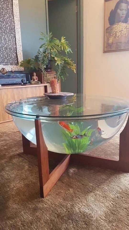 38 top idées d'Aquariums pour décorer votre maison 4 38 top idées d'Aquariums pour décorer votre maison 4
