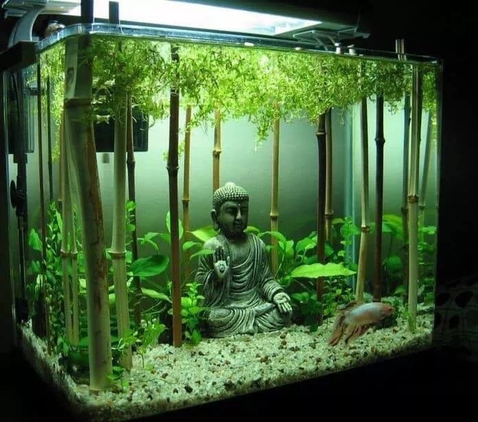 38 top idées d'Aquariums pour décorer votre maison 23 38 top idées d'Aquariums pour décorer votre maison 23