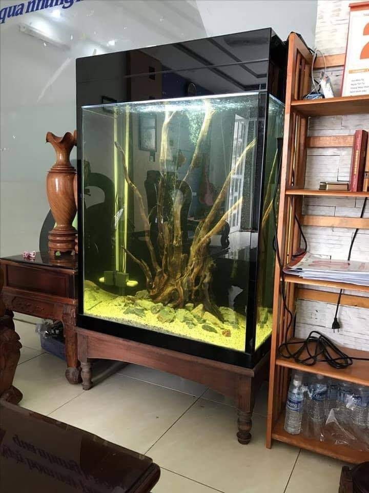 38 top idées d'Aquariums pour décorer votre maison 32 38 top idées d'Aquariums pour décorer votre maison 32