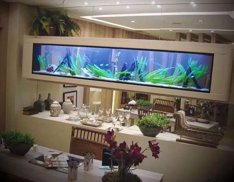 38 top idées d'Aquariums pour décorer votre maison 37 38 top idées d'Aquariums pour décorer votre maison 37