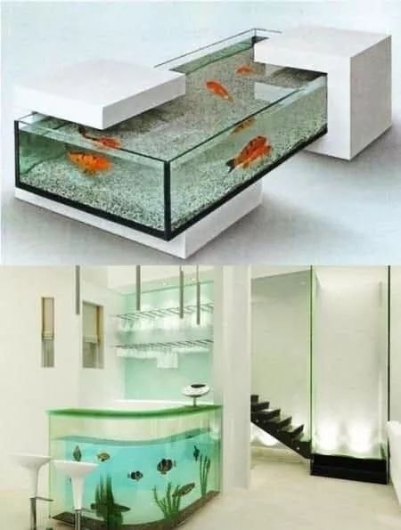 38 top idées d'Aquariums pour décorer votre maison 8 38 top idées d'Aquariums pour décorer votre maison 8