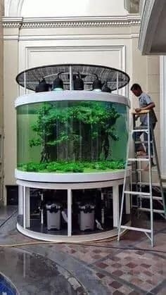 38 top idées d'Aquariums pour décorer votre maison 10 38 top idées d'Aquariums pour décorer votre maison 10