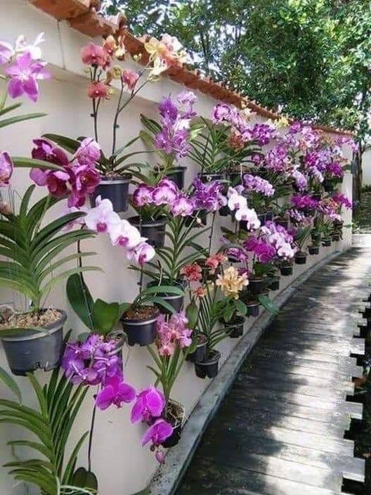 49 décorations de petits jardins à copier d'urgence 20