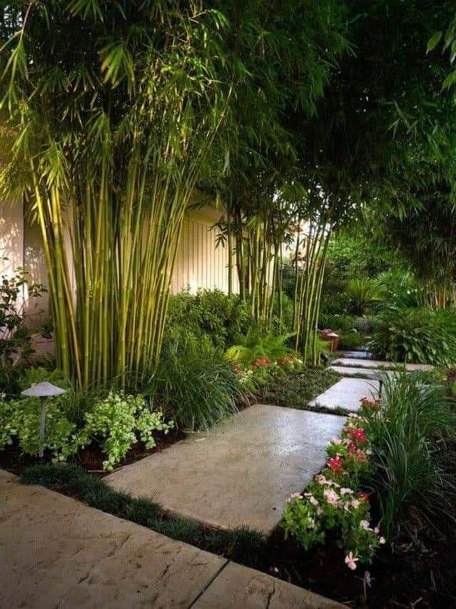 49 décorations de petits jardins à copier d'urgence 4