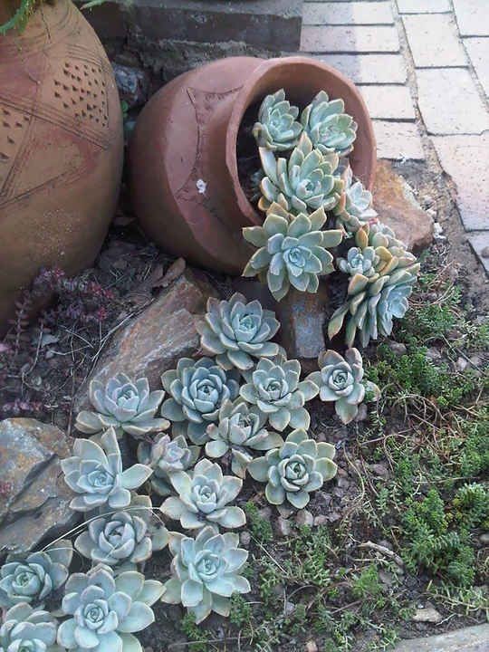 49 idées pour rendre ta déco de jardin plus unique 15 49 idées pour rendre ta déco de jardin plus unique 15