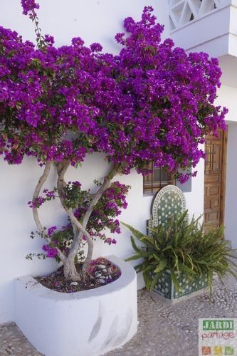 49 idées pour rendre ta déco de jardin plus unique 5 49 idées pour rendre ta déco de jardin plus unique 5