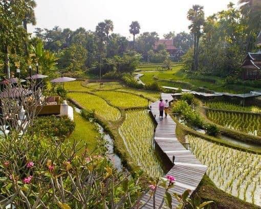 66 idées de maisons conçues pour les amoureux de la nature 12 66 idées de maisons conçues pour les amoureux de la nature 12