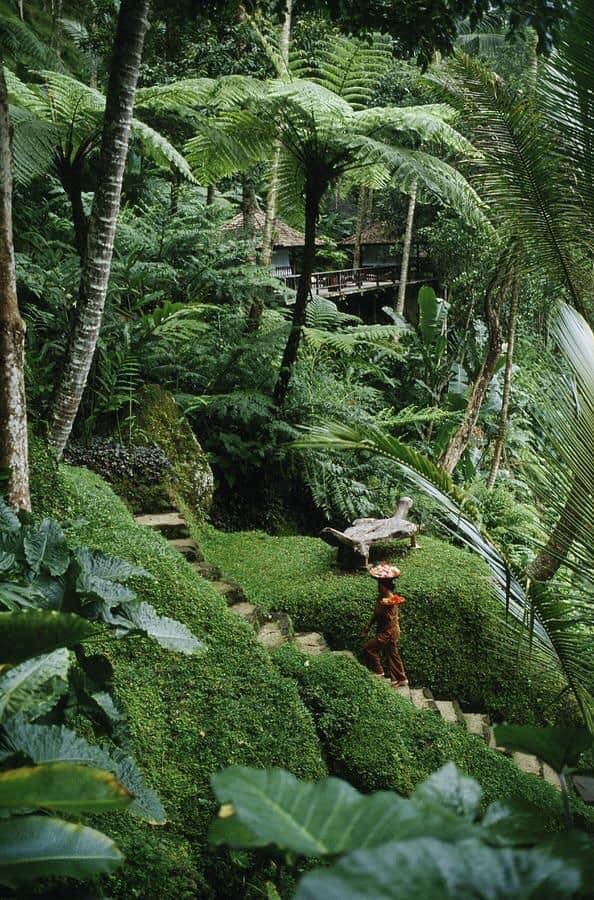 66 idées de maisons conçues pour les amoureux de la nature 5 66 idées de maisons conçues pour les amoureux de la nature 5