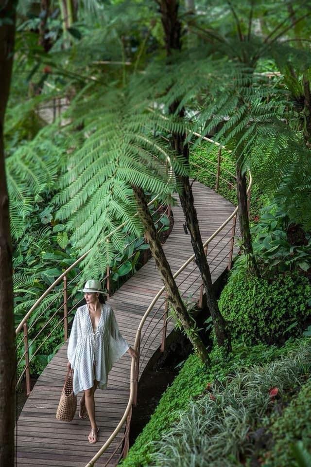 66 idées de maisons conçues pour les amoureux de la nature 9 66 idées de maisons conçues pour les amoureux de la nature 9