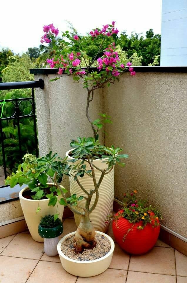 86 top idées pour remodeler votre jardin 36