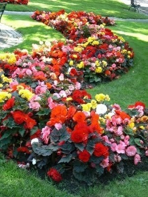 86 top idées pour remodeler votre jardin 50