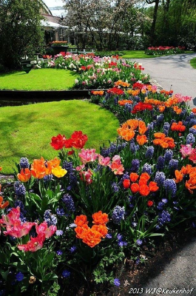 86 top idées pour remodeler votre jardin 51