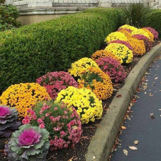86 top idées pour remodeler votre jardin 55