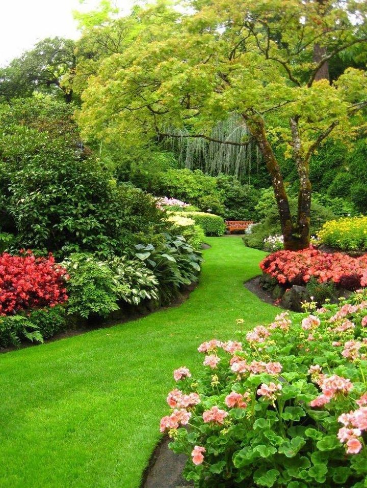 86 top idées pour remodeler votre jardin 59