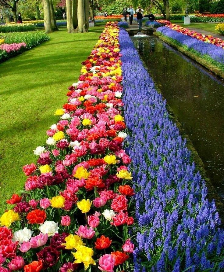 86 top idées pour remodeler votre jardin 63