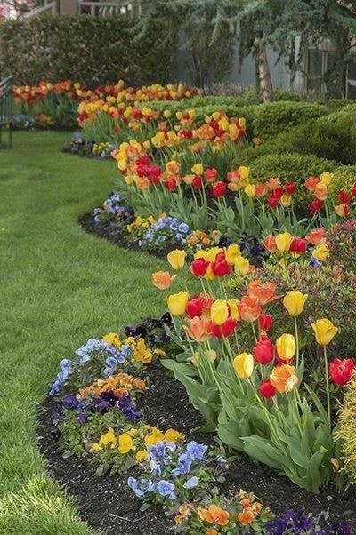 86 top idées pour remodeler votre jardin 64