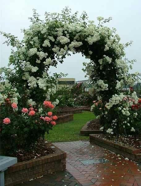 86 top idées pour remodeler votre jardin 19