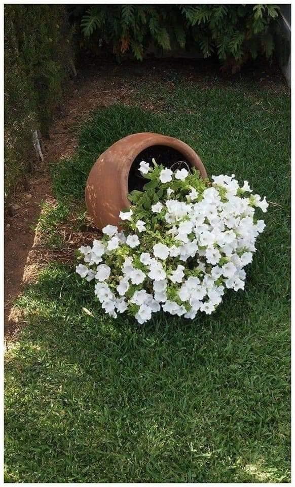 86 top idées pour remodeler votre jardin 83