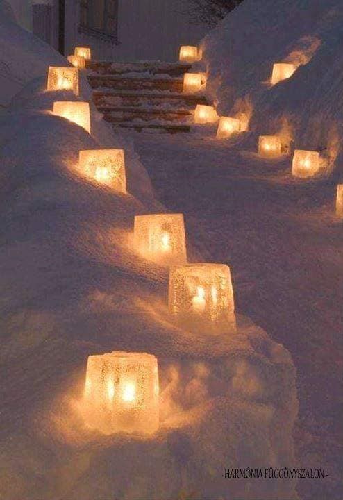 Les 25 plus belles idées d'éclairages de jardin de tous les temps 24 Les 25 plus belles idées d'éclairages de jardin de tous les temps 24