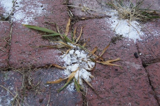 5 astuces naturelles pour désherber le jardin facilement 7 5 astuces naturelles pour désherber le jardin facilement 7