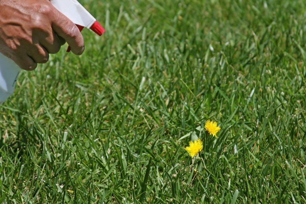5 astuces naturelles pour désherber le jardin facilement 3 5 astuces naturelles pour désherber le jardin facilement 3