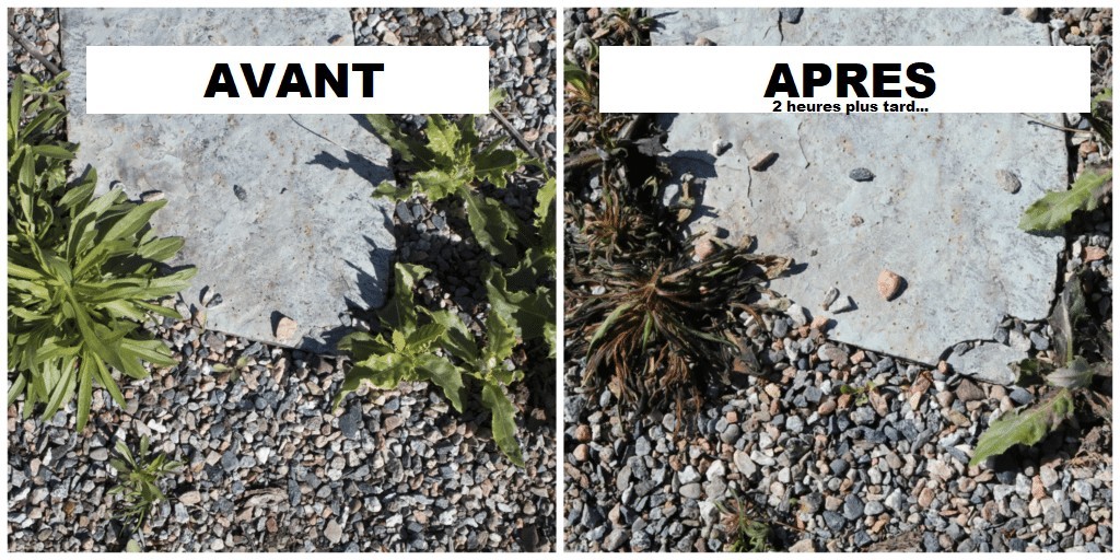 5 astuces naturelles pour désherber le jardin facilement 5 5 astuces naturelles pour désherber le jardin facilement 5
