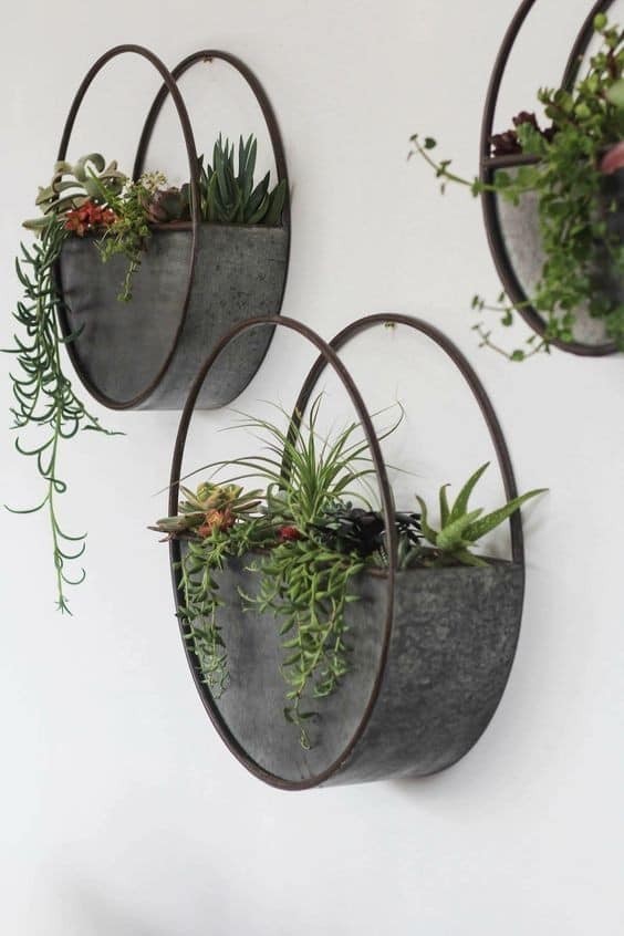 20 super idées de supports pour les plantes 3