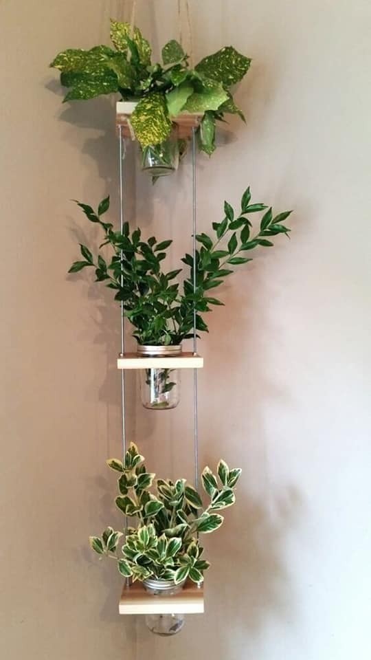 20 super idées de supports pour les plantes 6