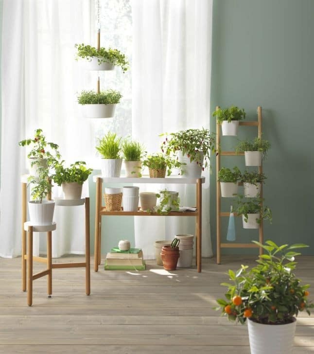 20 super idées de supports pour les plantes 9