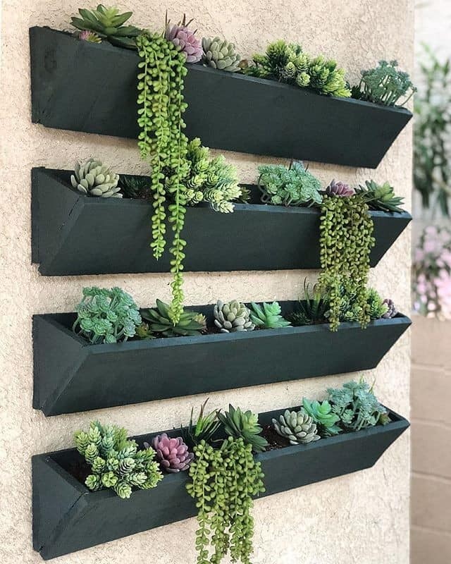 20 super idées de supports pour les plantes 1