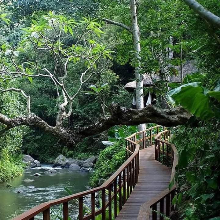 24 maisons faites spécialement pour les amoureux de la nature 11 24 maisons faites spécialement pour les amoureux de la nature 11