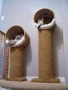 25 idées pour les amoureux des chats 13 25 idées pour les amoureux des chats 13