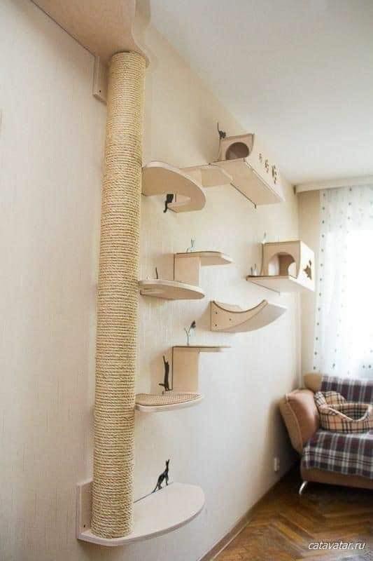 25 idées pour les amoureux des chats 14 25 idées pour les amoureux des chats 14
