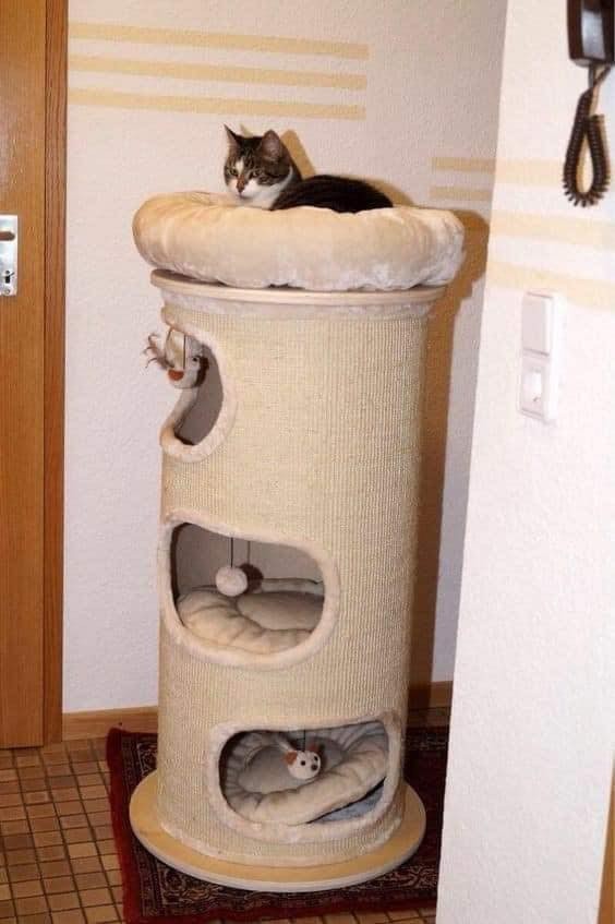 25 idées pour les amoureux des chats 16 25 idées pour les amoureux des chats 16