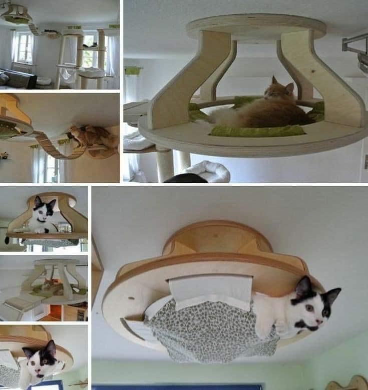 25 idées pour les amoureux des chats 22 25 idées pour les amoureux des chats 22