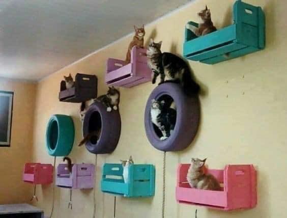 25 idées pour les amoureux des chats 25 25 idées pour les amoureux des chats 25