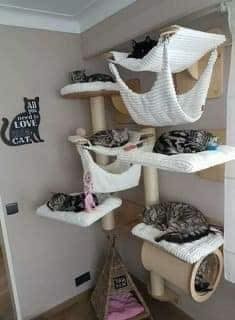 25 idées pour les amoureux des chats 6 25 idées pour les amoureux des chats 6