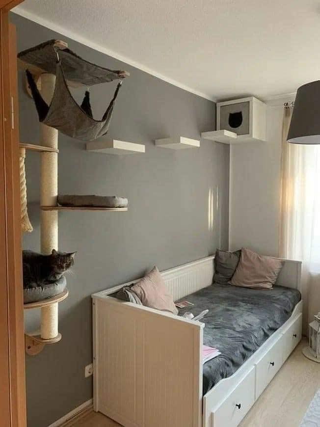 25 idées pour les amoureux des chats 7 25 idées pour les amoureux des chats 7