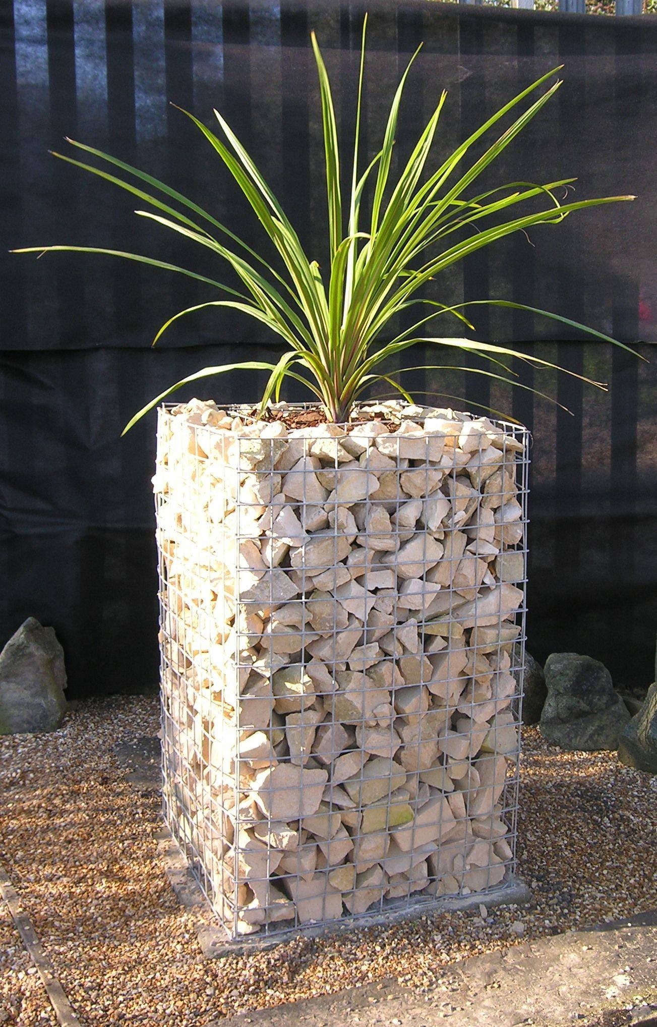 30 idées de jardin verticaux modulaires en gabion 19 30 idées de jardin verticaux modulaires en gabion 19