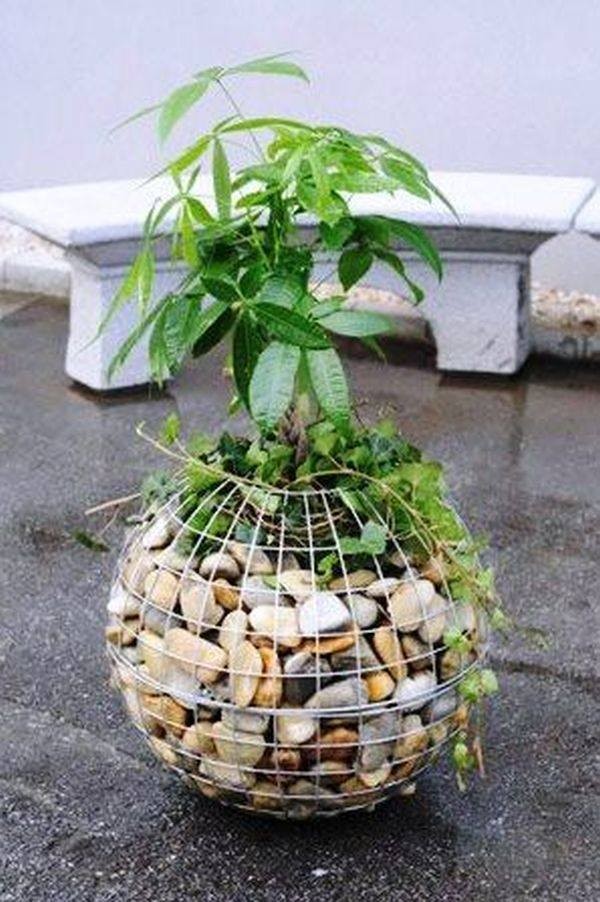 30 idées de jardin verticaux modulaires en gabion 22 30 idées de jardin verticaux modulaires en gabion 22