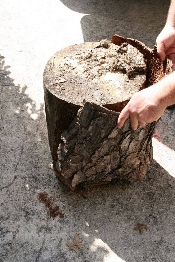 60 objets déco à faire avec des troncs d'arbre 33