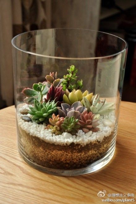 41 idées de mini jardins dans des bocaux en verre 2