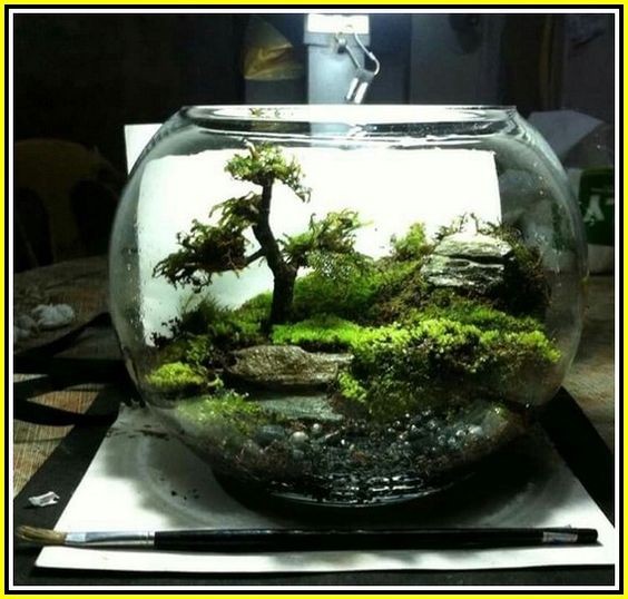 41 idées de mini jardins dans des bocaux en verre 11