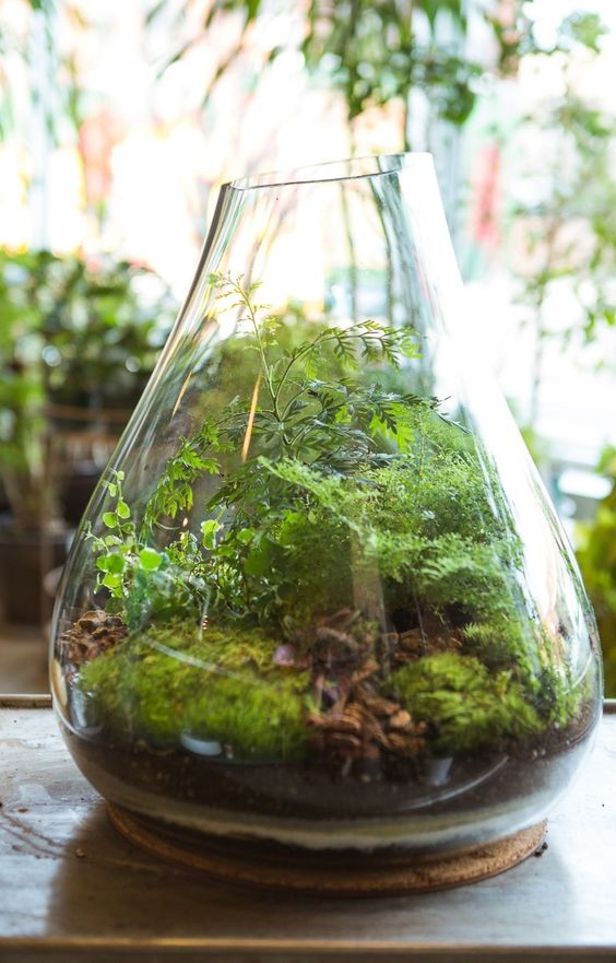 41 idées de mini jardins dans des bocaux en verre 12