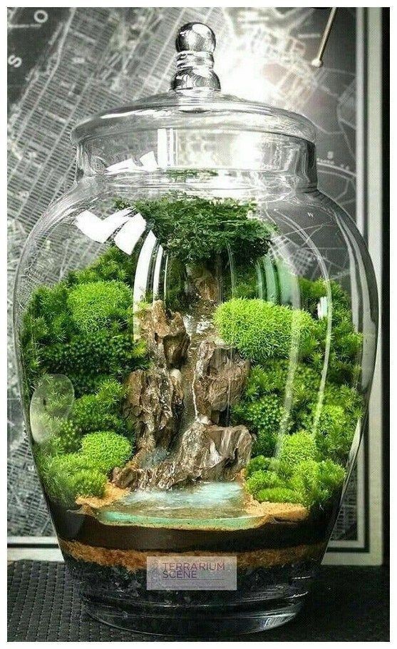 41 idées de mini jardins dans des bocaux en verre 14