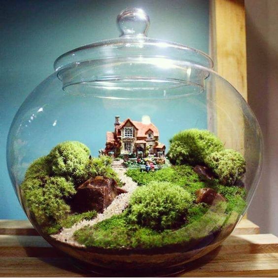 41 idées de mini jardins dans des bocaux en verre 18
