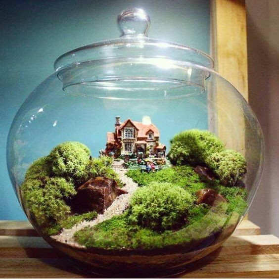 41 idées de mini jardins dans des bocaux en verre 18