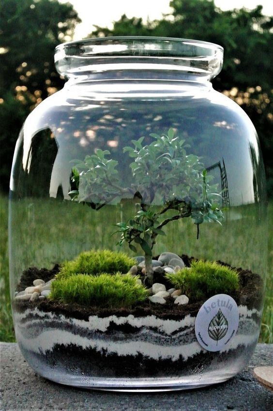 41 idées de mini jardins dans des bocaux en verre 19