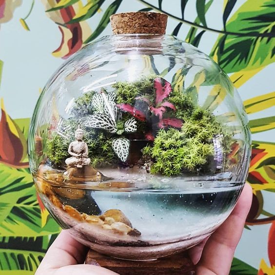 41 idées de mini jardins dans des bocaux en verre 21