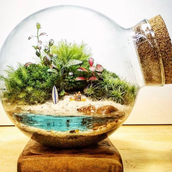 41 idées de mini jardins dans des bocaux en verre 22